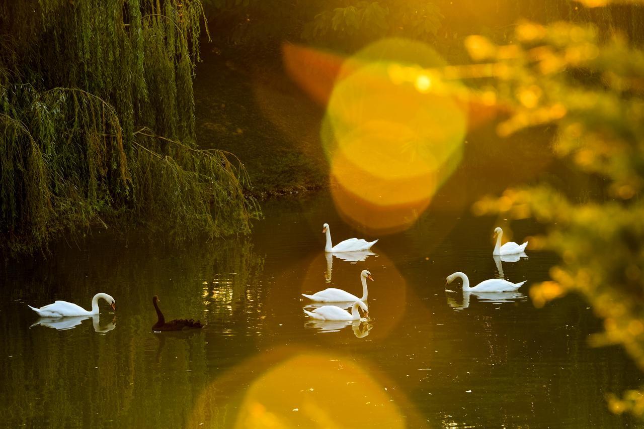 Lacul Verde Resort Ploeszti Zewnętrze zdjęcie
