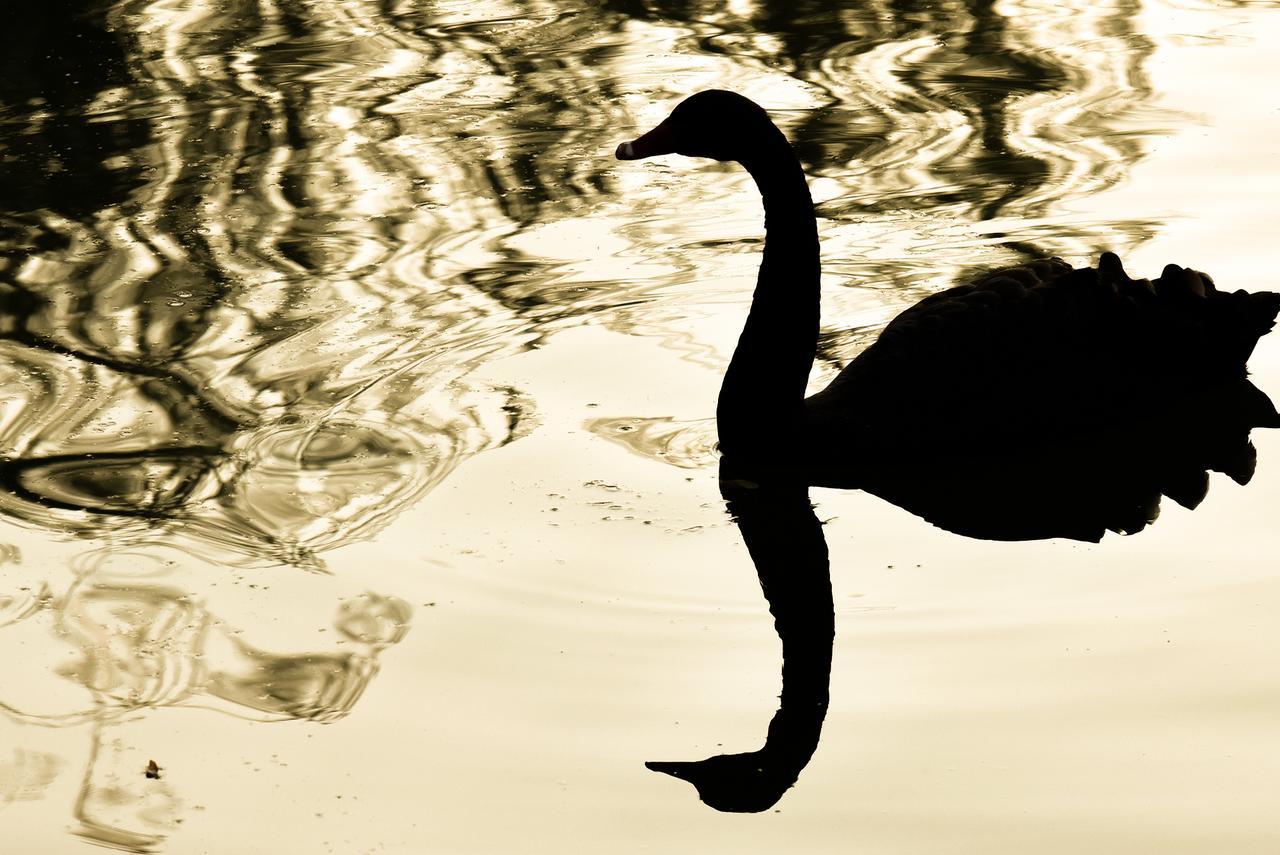 Lacul Verde Resort Ploeszti Zewnętrze zdjęcie